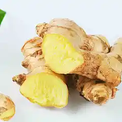 山东老姜母