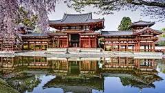 平等院寺,宇治,日本,寺庙,风景桌面壁纸