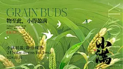 小满节气横版海报