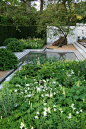 Chelsea Flower Show 2014 – First Look