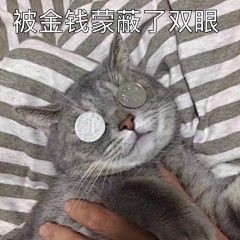 Rainnnyder采集到猫猫头