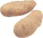 Potato png images, pictures, free download