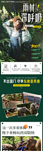 西双版纳雨林详情页-源文件分享-ywjfx.cn