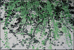 清风丶性空山采集到装饰画