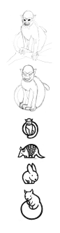 Pictograms - ZOO : Anatomy and form structure studies with the objective of creating pictograms for a future Zoo.