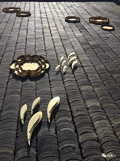 大嘴金木采集到活动
