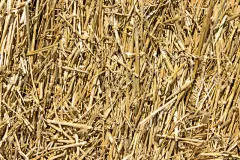 稻草,纹理,背景,褐色,水平画幅,谷仓,无人,干草卷,夏天,干的