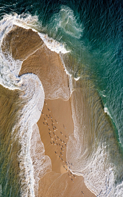 半盏清酒醉浮生°采集到海浪