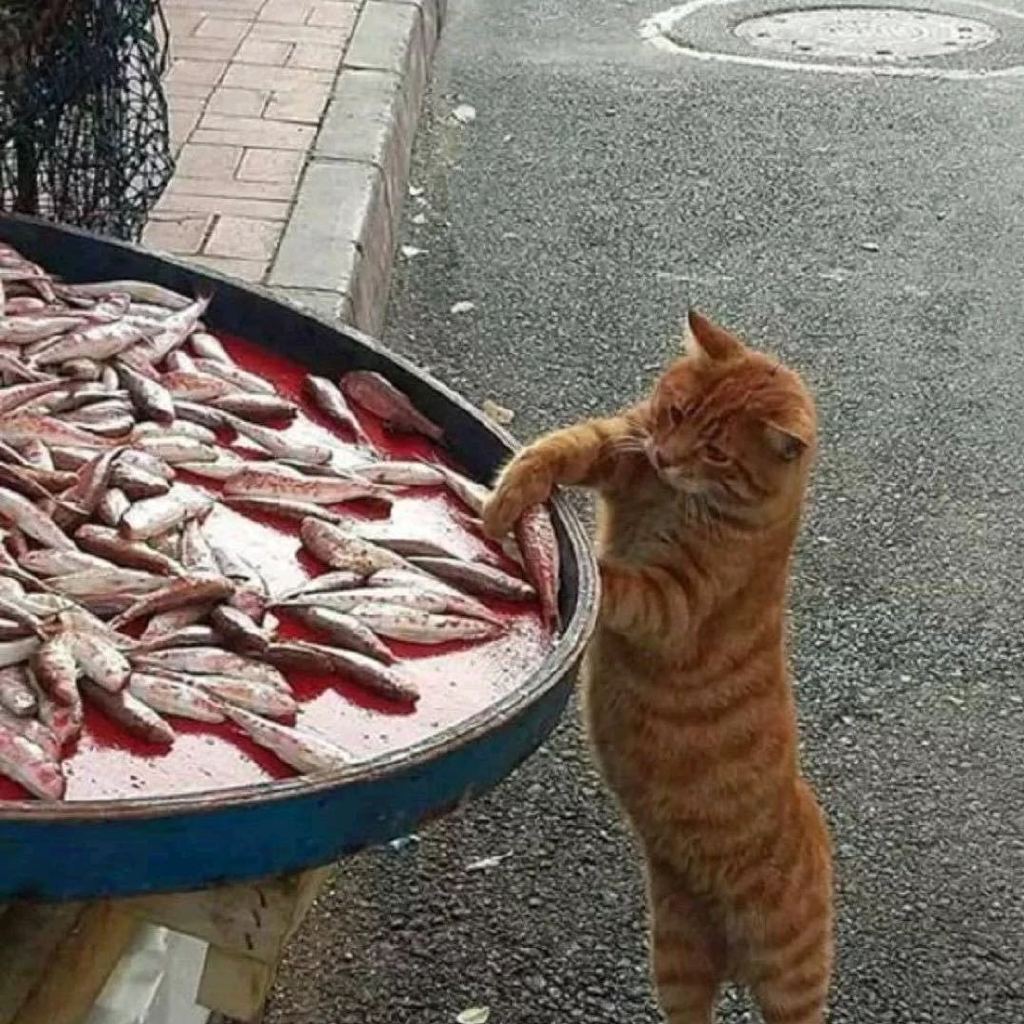 水汜蘼芜