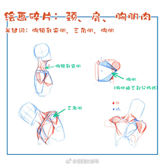 离早采集到头部结构