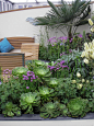 Show Gardens - Jo gardens