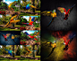 彩色鹦鹉鸟动物摄影高清图片