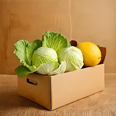 蔬菜大白菜高清图片