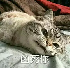 164#表情包# #搞笑# #创意##手机# #唯美# #内涵# #动漫# #重口味#