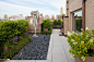 第五大道屋顶花园 5th avenue rooftop-mooool设计
