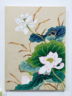Dan`joo采集到花