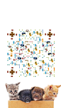 猫狗之家---vxone创意艺术二维码，5元一张，15元一套（手机、公众号、微信名片、方格、单码）详情扫码了解！更有动态艺术码，立体艺术码出售以及最新业务——<手把手教学价值1w3的艺术码>......