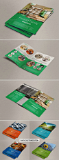 Product Family Brochure 宣传手册模板素材国外源文件-淘宝网