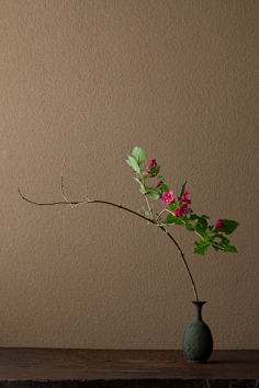 意境闭窗藏扇采集四月微澜采集到意境浮萍采集四月微澜采集到意境1禅