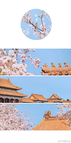橙子123~采集到中国风