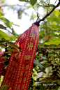 天马忠魂，如此震撼——山东沂水之行