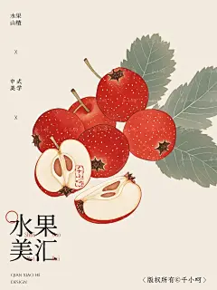 中式美学丨国风手绘山楂【药食同源】 - 小红书