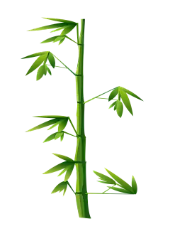 中国风卡通手绘绿色竹子水墨竹叶竹节