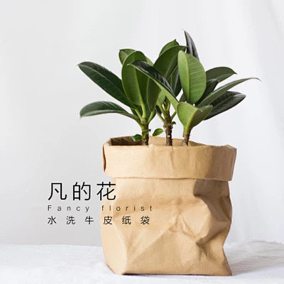 北欧ins多肉植物室内家居装饰撕不烂水洗...
