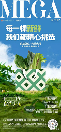 小熊饼干丫采集到版面4促销主图海报