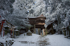 风元西采集到场景 概念