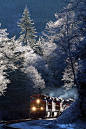 冬季火車。 #景点# #美景#