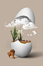 Photoshop egg 合成