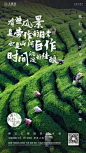 乡愁7