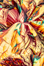 L Glutamine and Beta Alanine; Crystallized Amino Acids : Polarized light microscopy panoramas of crystallized amino acids.