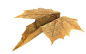 1 (4)