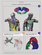 anatomy for sculptors-34