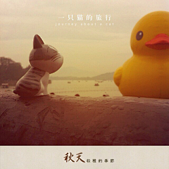 一只猫的旅行♬℡采集到凰