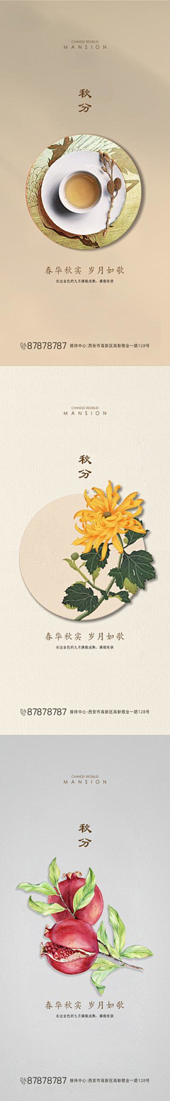 3iZoDtCP采集到茶