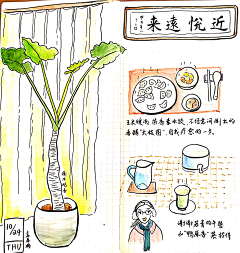 袁春楠采集到2019年袁春楠画日记-第三本