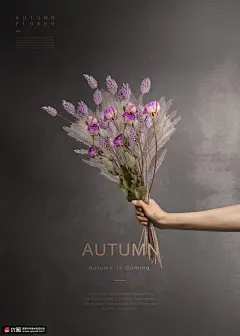 秋天鲜花干花手持花束淡雅秋季海报 海报招贴 季节海报