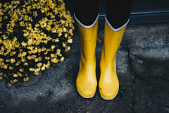 Ellie_chao采集到黄系色彩-YELLOW