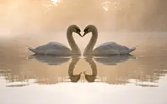 19877580_1366010662671_1920x1200