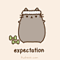 Pusheen the cat