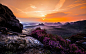 General 1920x1200 landscape nature mist sunset wildflowers valley forest mountain sky colorful