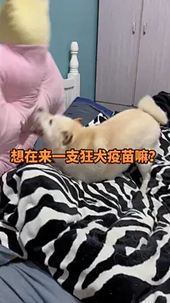 #好会卡点的狗子# ... - @五行属二的微博 - 微博