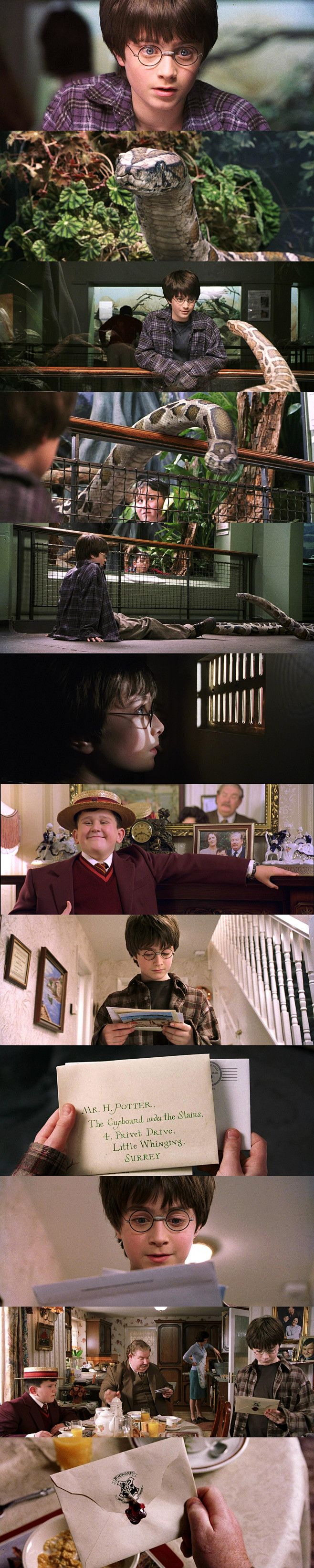 【哈利·波特与魔法石 Harry Pot...