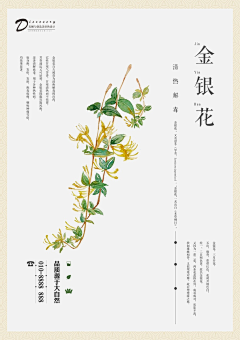 淡燮采集到花