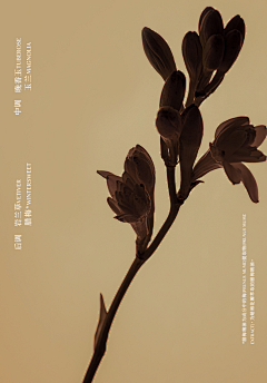 iioooooooo采集到东方/神秘/禅酷