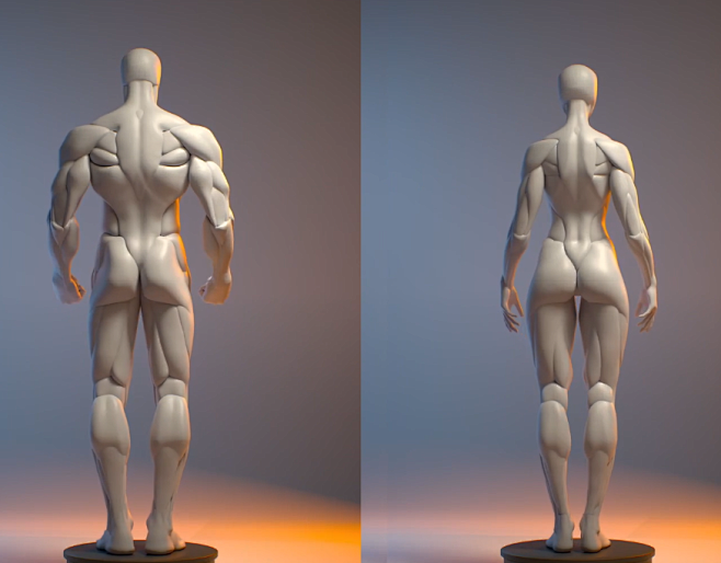 ArtStation - Anatomy...