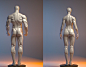 ArtStation - Anatomy in motion